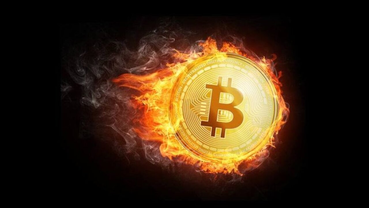 Bitcoin Weekly: Tesla Earnings, Saylor, Jordan Peterson, Pierre vs Bank of Canada, Petrodollar