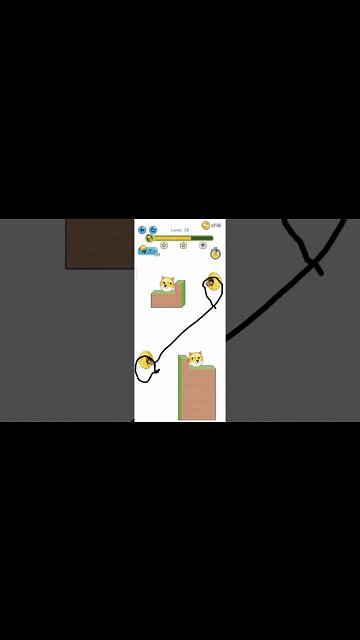 save the doge level 39