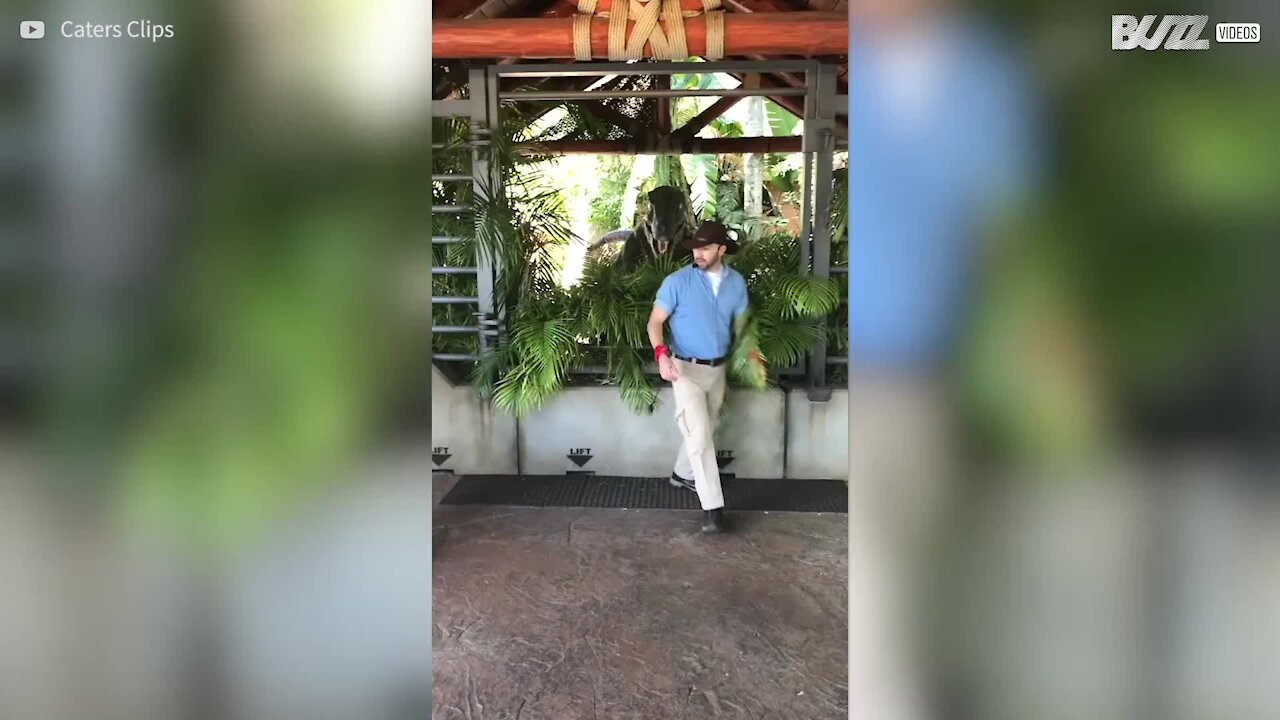Un labrador rencontre un vélociraptor
