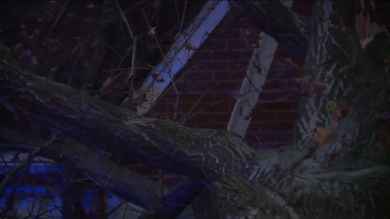 Multiple homes damaged by fallen trees on residential street in Cleveland