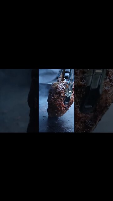 THE MEAT SWEATS #shorts #carnivore #dog