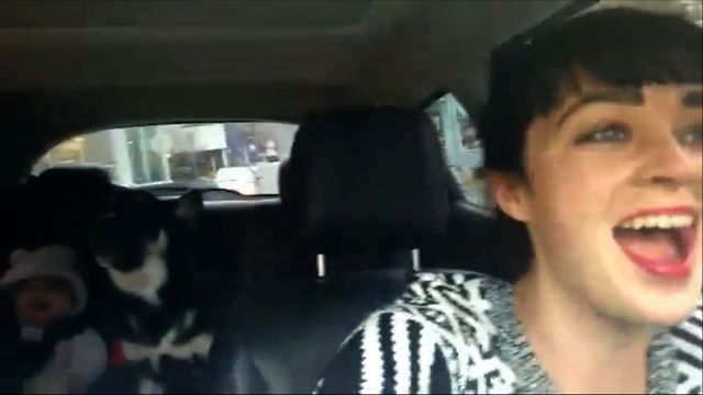 Musical Dog Likes To Pitch In On Some Carpool Karaoke