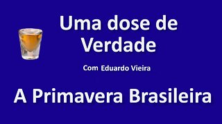 Primavera Brasileira - Visão Geral