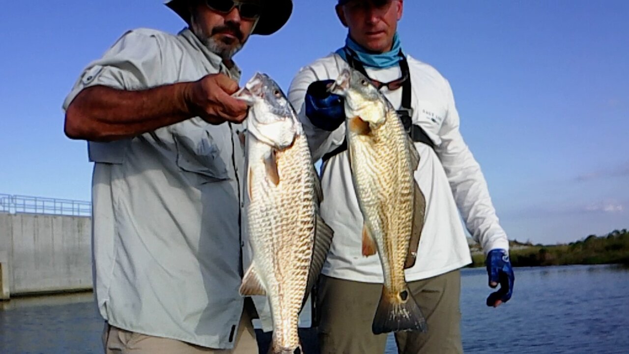 Bouncing plastics on bottom for big redfish!