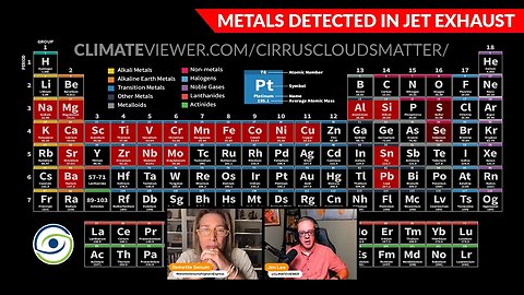 Geoengineering Lawsuit with Reinette Senum and Jim Lee - Pt 2