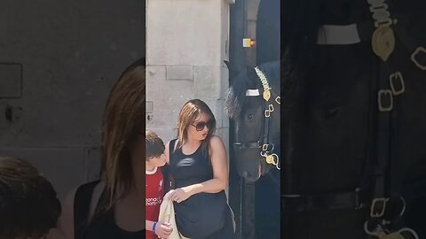 Horse may bite there is a sign #horseguardsparade