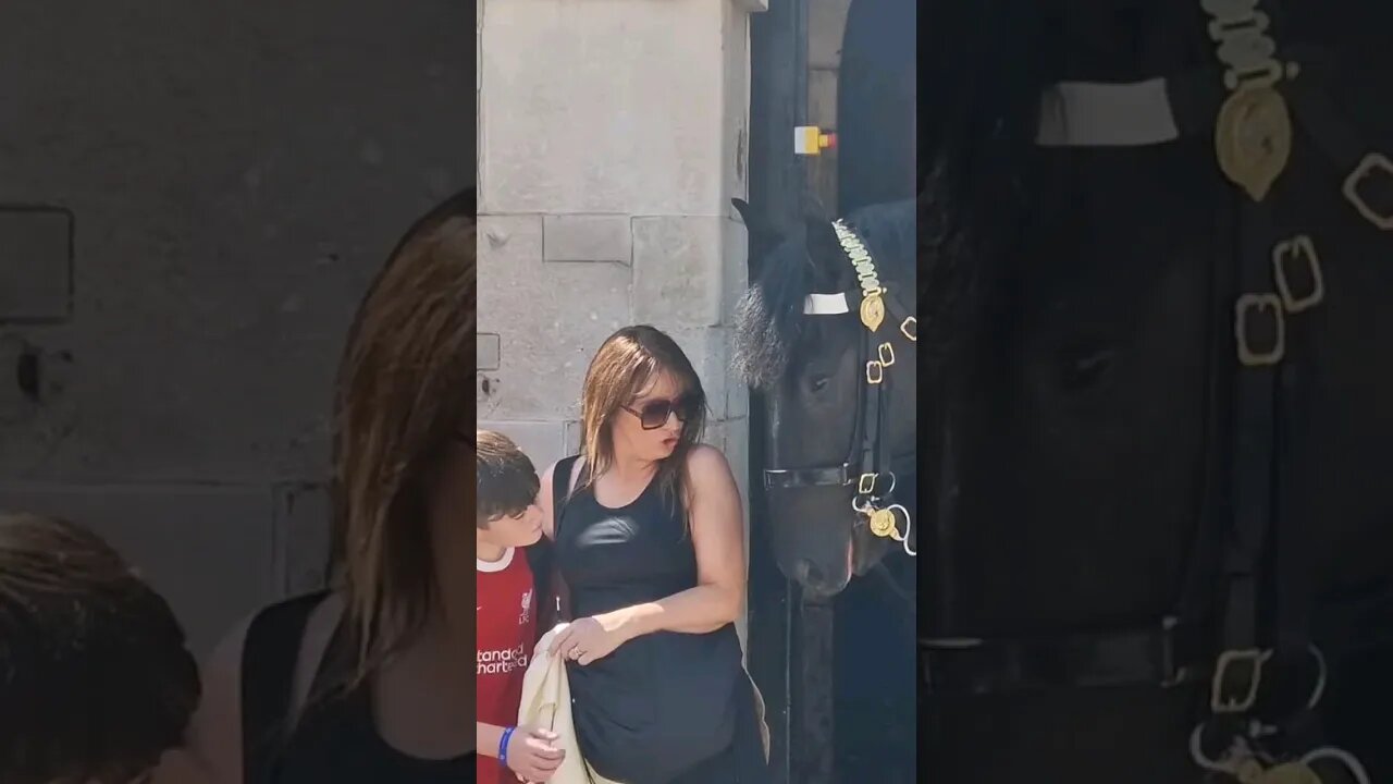 Horse may bite there is a sign #horseguardsparade