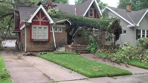 Massive tree splits house nearly in half