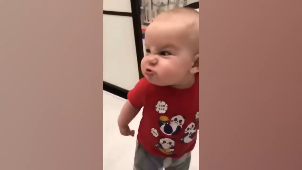 Funny Baby Videos - The Cutest Chubby Baby Compilation