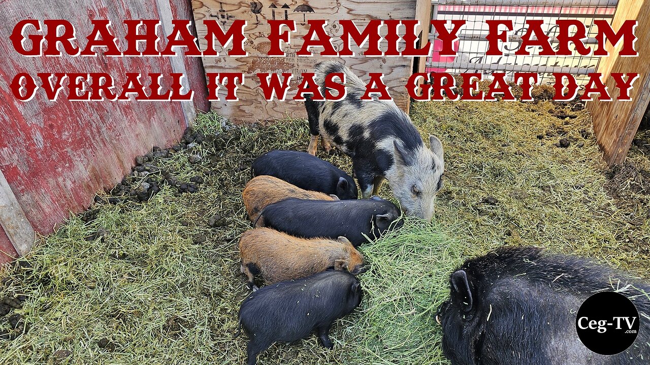 Graham Family Farm: Overall it was a Great Day