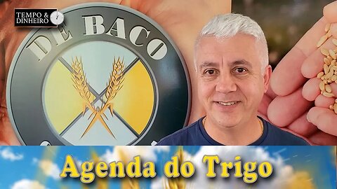 O custo do dinheiro faz pressão sobre as cotações, mas o clima é um fator altista.