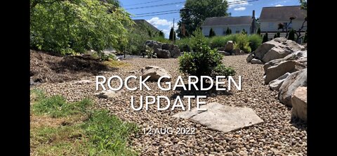 Rock Garden Update 12 Aug 2022