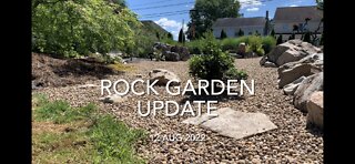 Rock Garden Update 12 Aug 2022