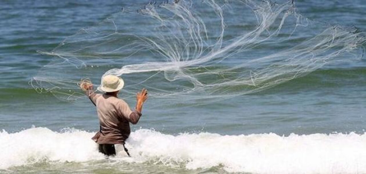 Fishing with nets on the beach