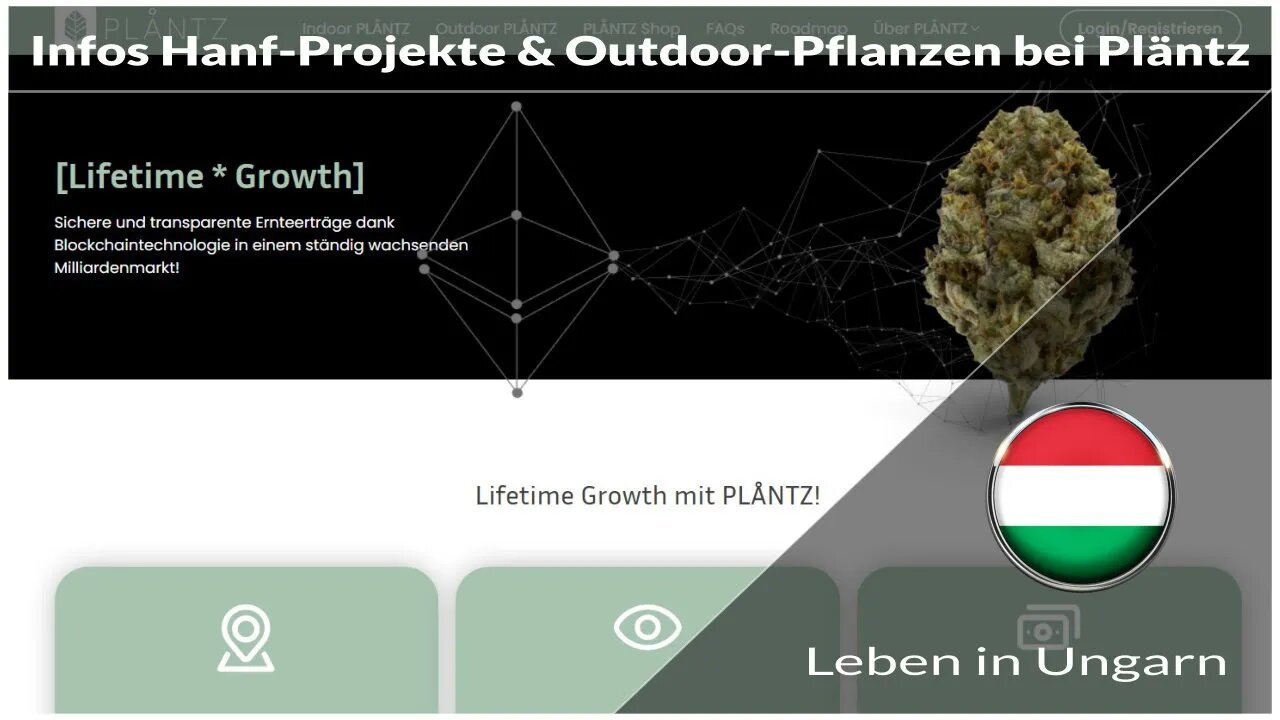 Infos Hanf-Projekte und Outdoor-Pflanzen NFT bei Pläntz für 100 Euro