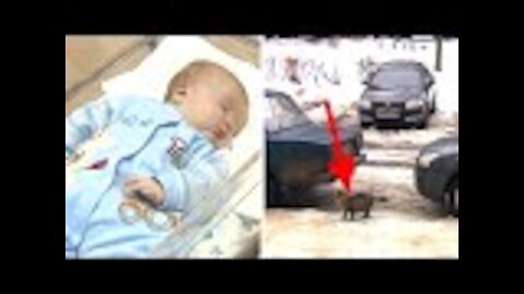 Baby Is Abandoned And Left To Freeze To Death – But Now Watch What This Cat Does