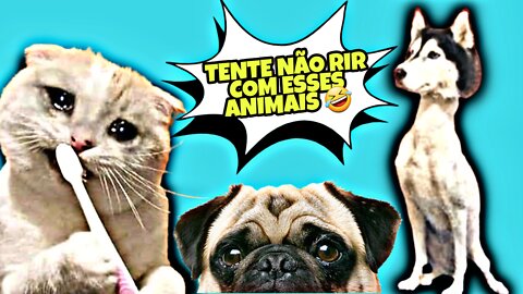 TRY NOT to LAUGH 😅 AT THESE ANIMALS - soueupets