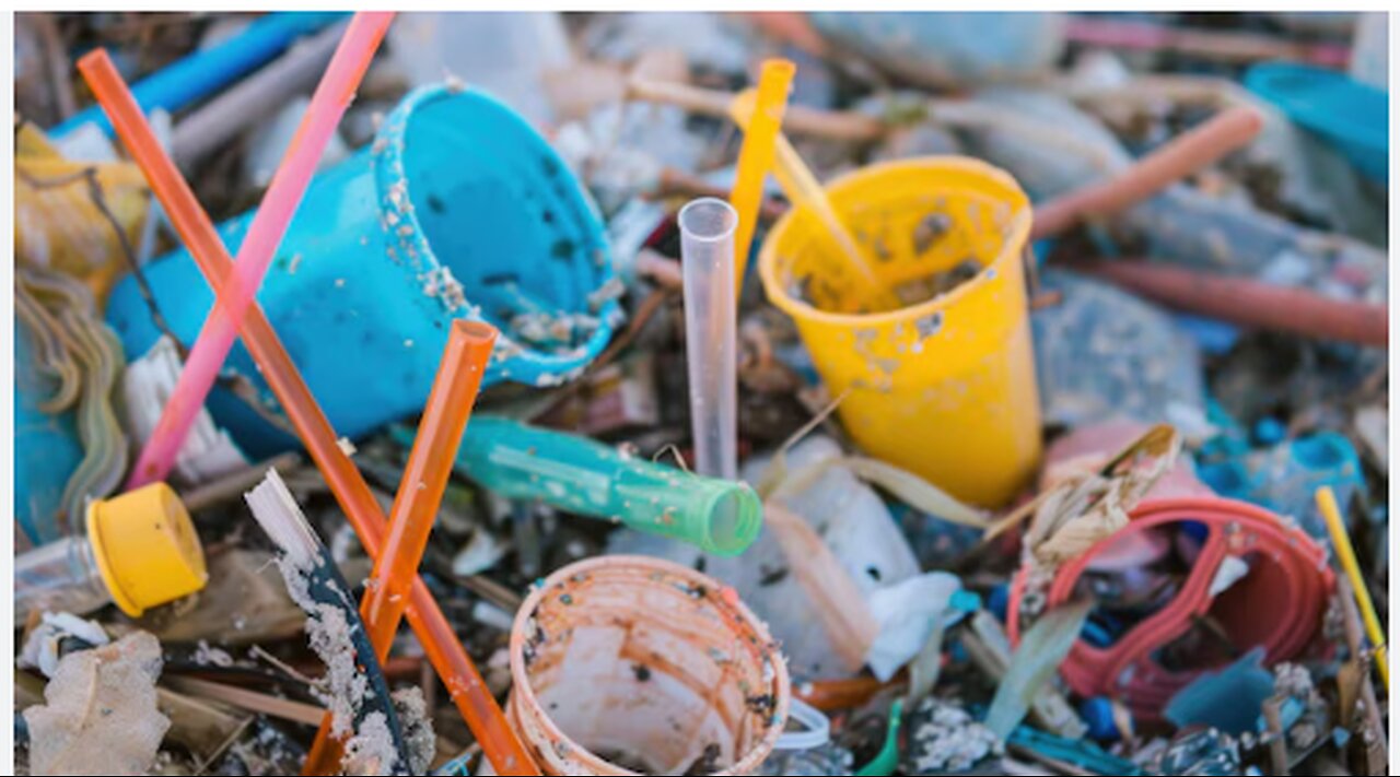 CONFERENCE TO END PLASTICS WHICH WILL NEVER ALLOW ENDING PLASTICS