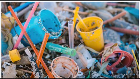CONFERENCE TO END PLASTICS WHICH WILL NEVER ALLOW ENDING PLASTICS 