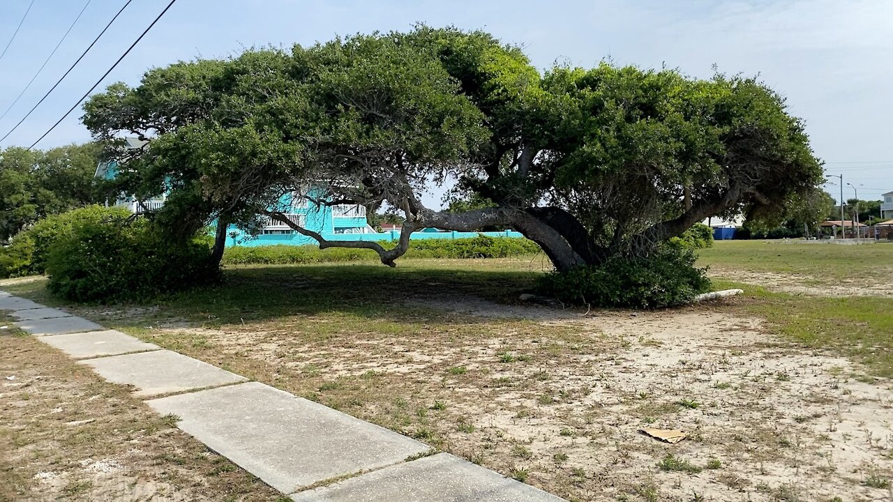 Walk and talk tour of Atlantic Beach, SC