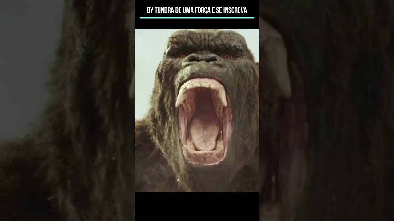 KONG O REI