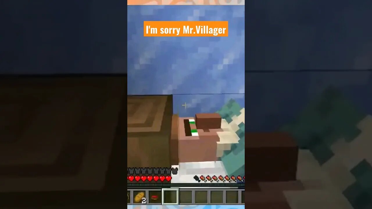 I'm sorry Mr.Villager #minecraft