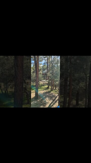 The mountain club of Prescott