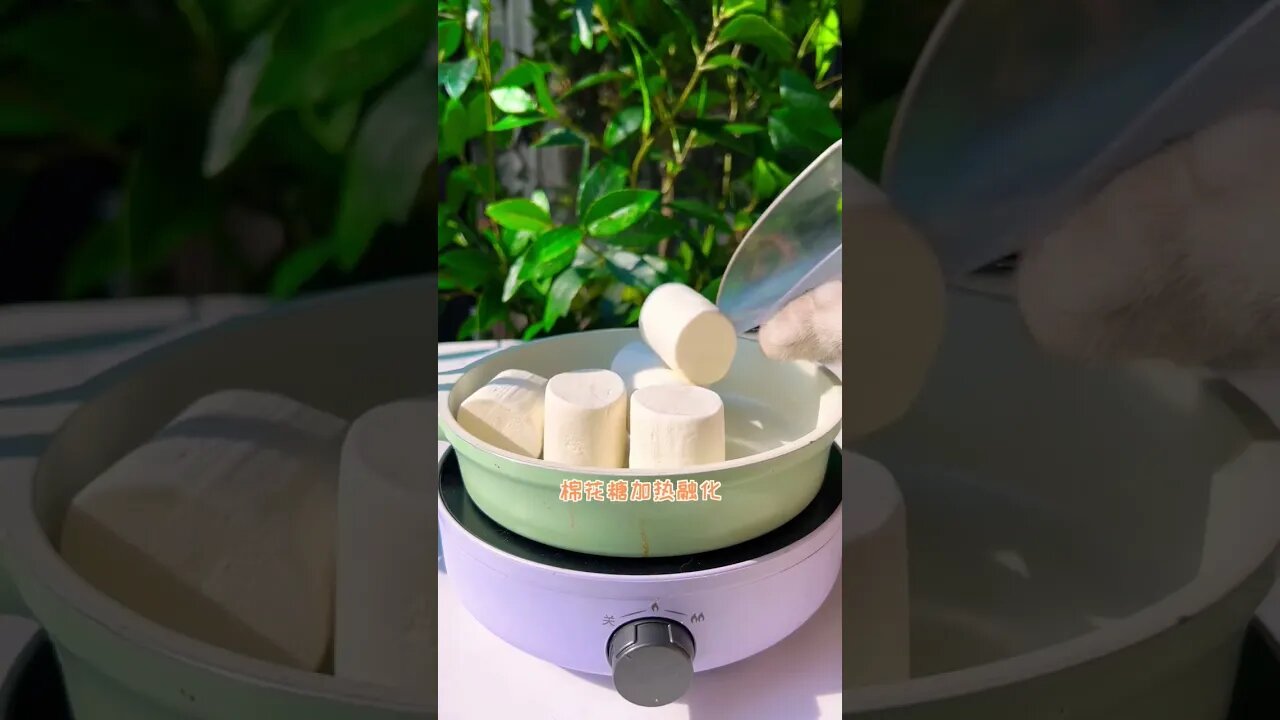 Funny Cat with mango #funny #funnyvideo #cat #reels #cats #mango #shorts #short #shortvideo