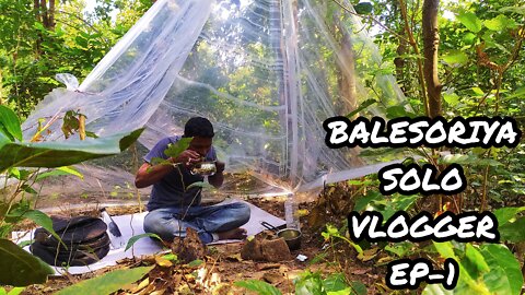 Solo bushcraft shelter in the forest।solo camping in deep forest and cooking