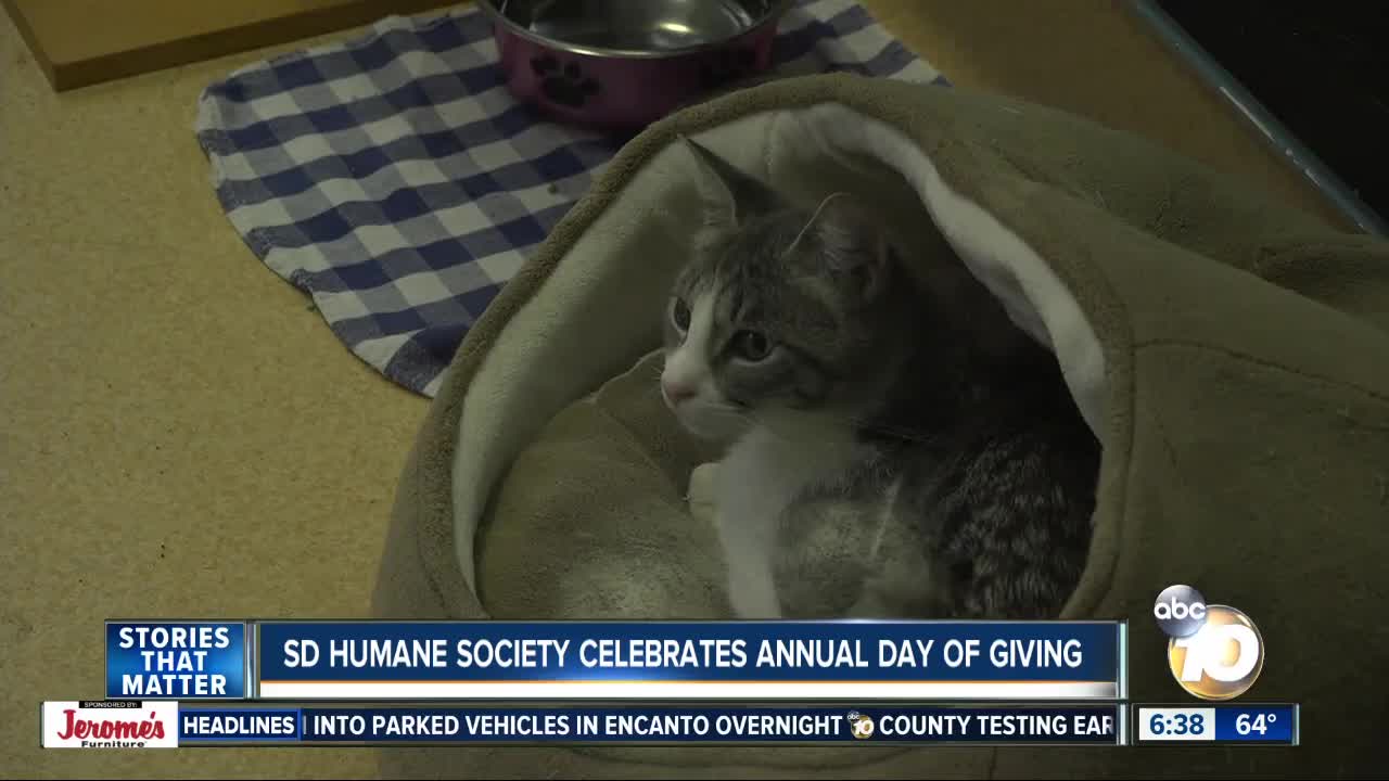 San Diego Humane Society holds annual Day of Giving