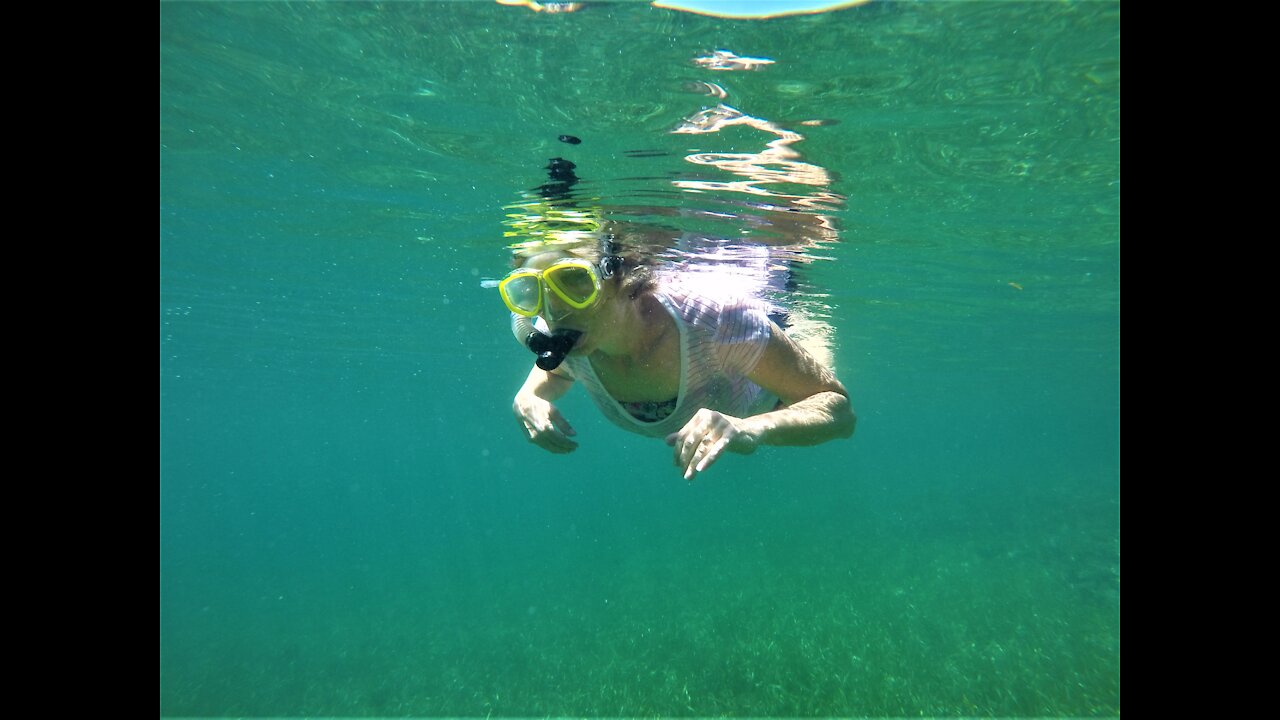 Snorkeling in Bocas del Toro, Panama, February 2017