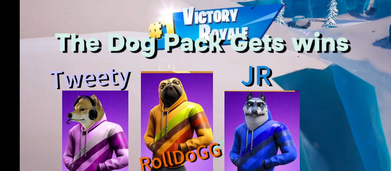 50 Bomb Fortnite Family Dog Pack