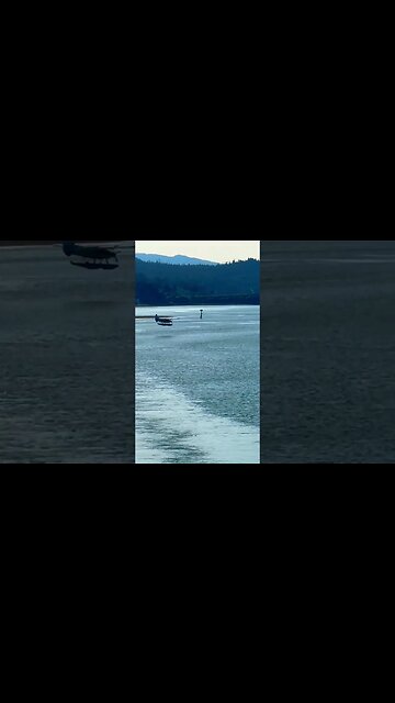 Back to Back seaplanes 🛩️🛩️ come on for perfect landing! #shorts