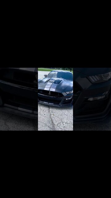 Stylish #ford #mustangsociety #fordperformance #fordracing #shelby #shorts