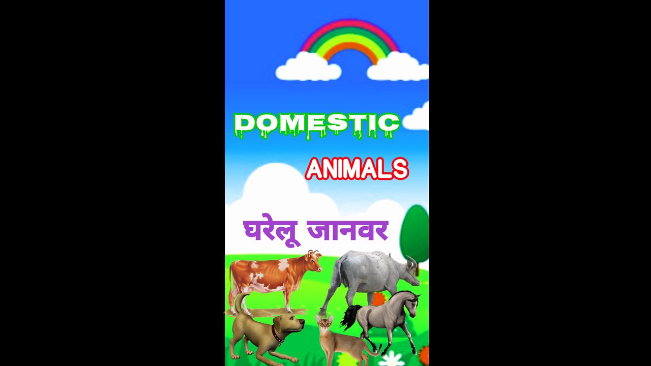 Domestic animals Name l घरेलू जानवर l Learn Pet Animal