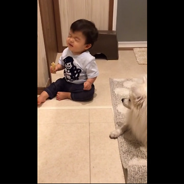 Baby smells dog's chew toy, delivers priceless reaction