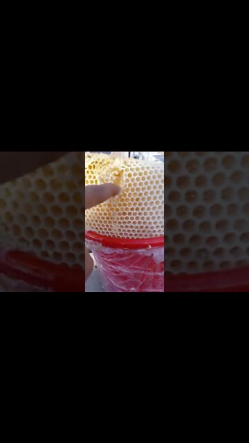 Fresh desi honey 🍯#ytshorts #shorts #Food #Streetfood #UpFoodReview