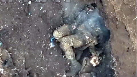 "Unbelievable! Russian Occupant Loses His Head After Drone Drops Ammunition