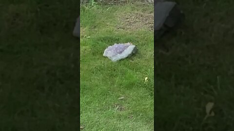some rock? #shorts