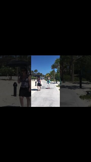 Coco Cay Island , Bahamas #shorts #video #birds