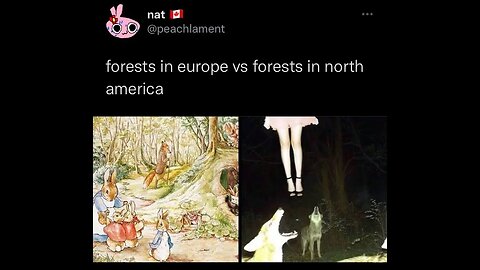 The Two Forests