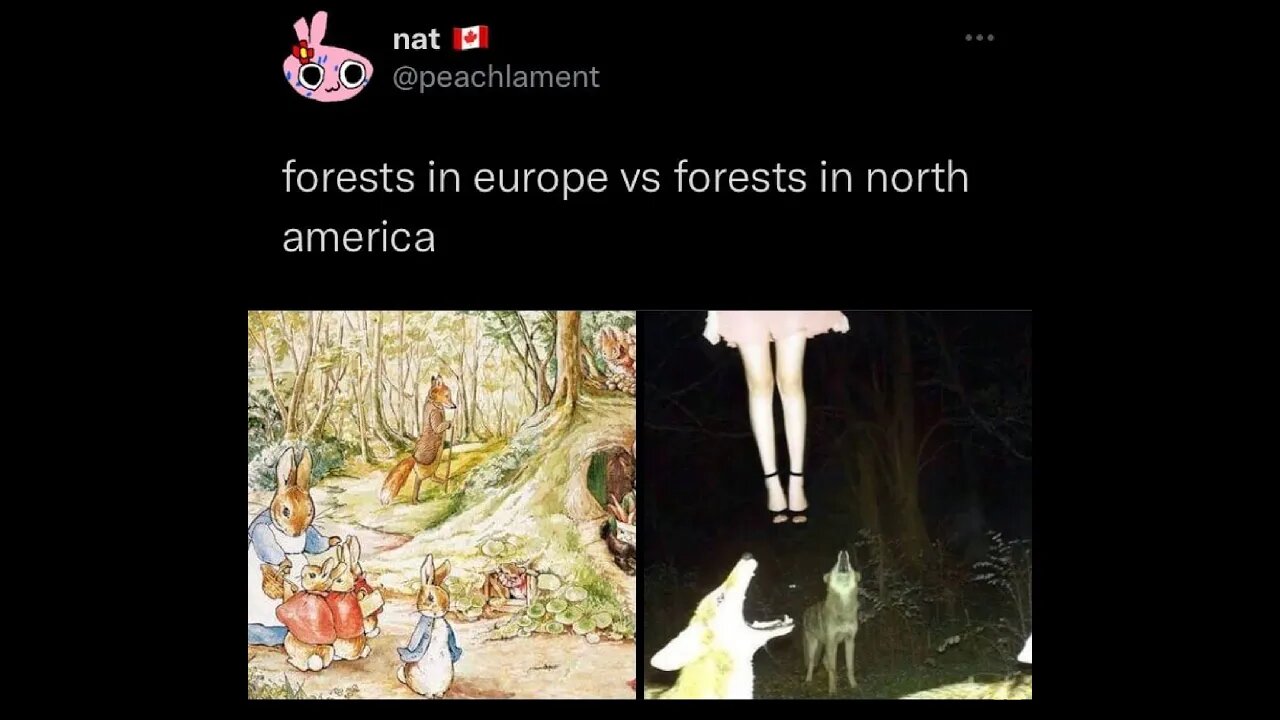 The Two Forests