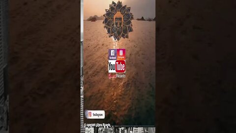 Meditação Consciente #shorts