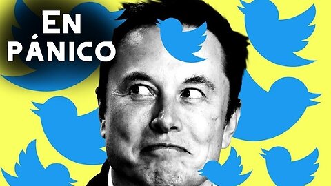 Elon Musk despide al 50% de Twitter (los progres lloran y entran en pánico)