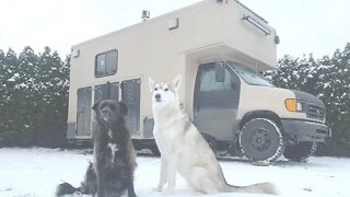 -15 Winter Camping in a van with dogs