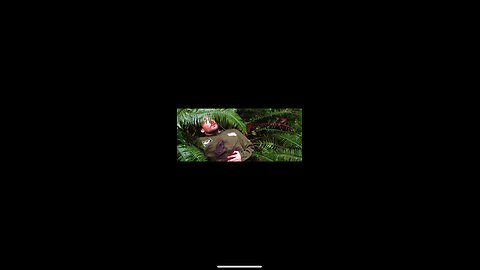 Hiding from Death