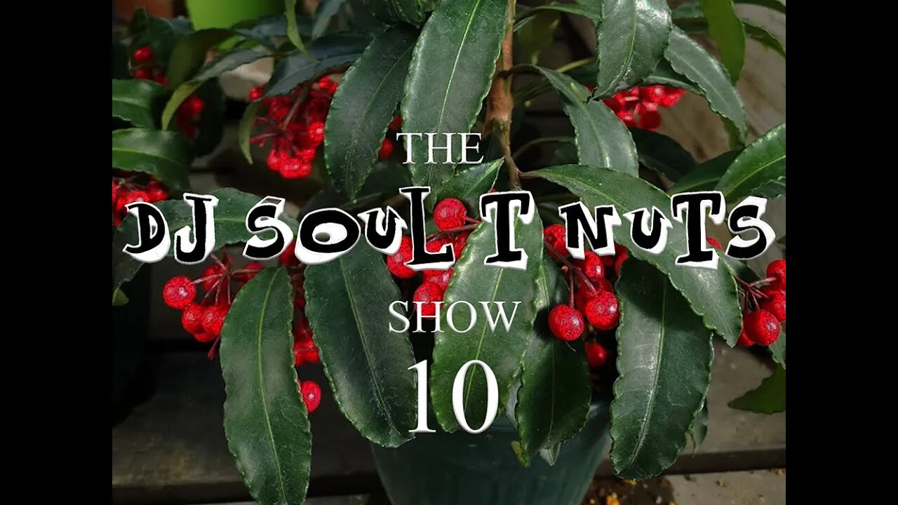 Old Skool House - The Soul T Nuts show - Episode 10
