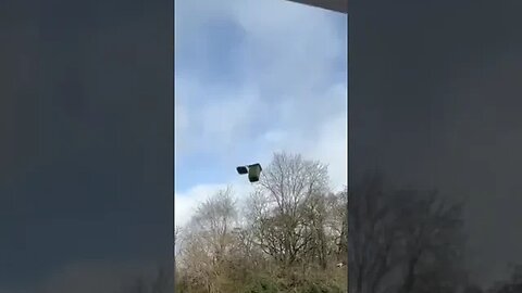 Windy Day Tiktok nathanmooo
