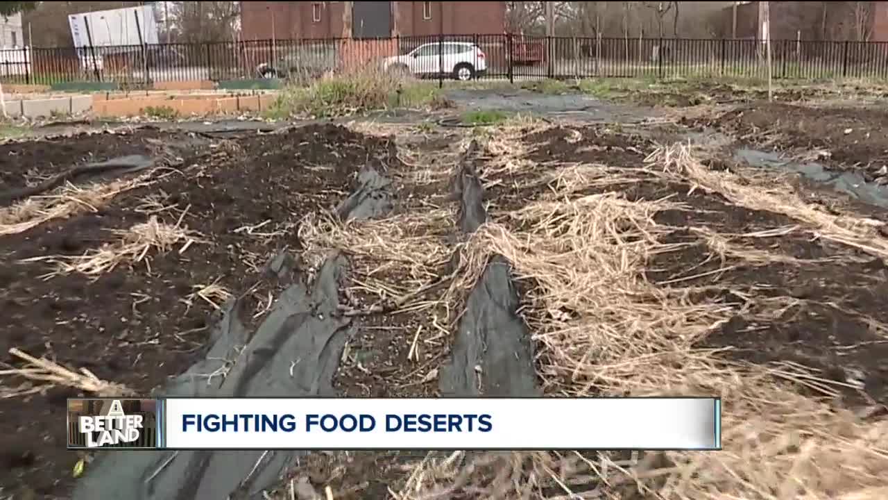 Work-study program through Green Corps gives youth meaningful skills at urban farms throughout Cleveland