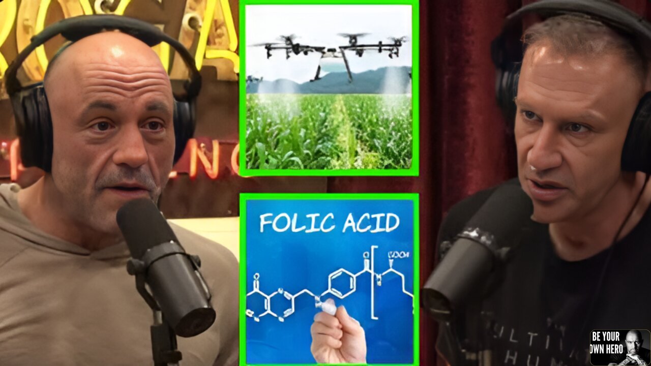 Gary Brecka Tells Joe Rogan About Folic Acid A Chemical In Our Food & What It's Doing To Your Body